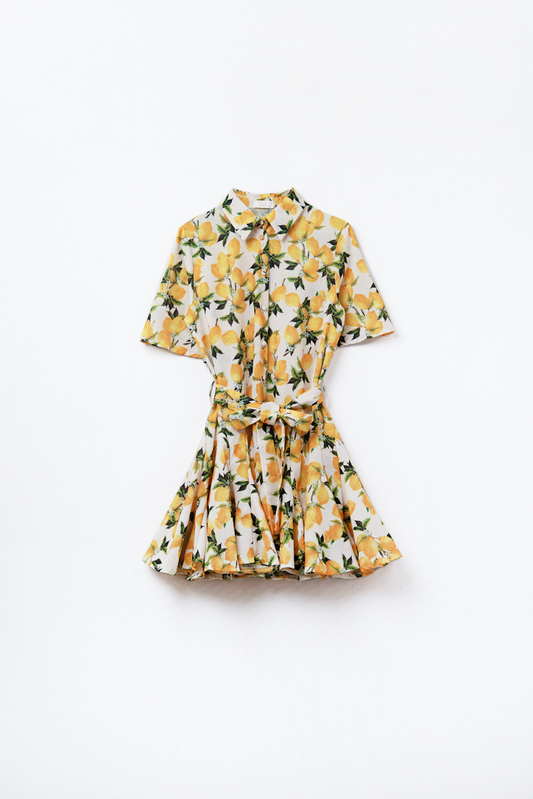 Isn't It Romantic Dress - Yellow